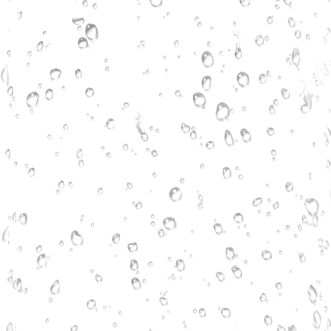 Fortified Antioxidant Mist