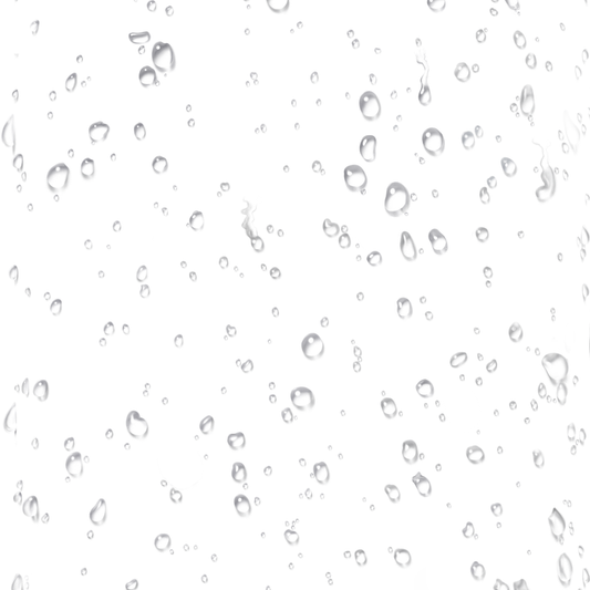 Fortified Antioxidant Mist